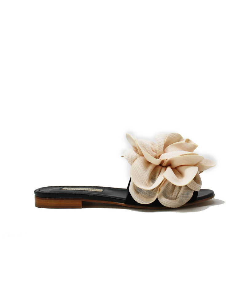 Pokemaoke Jolie camelia colore rosa Consegna Veloce