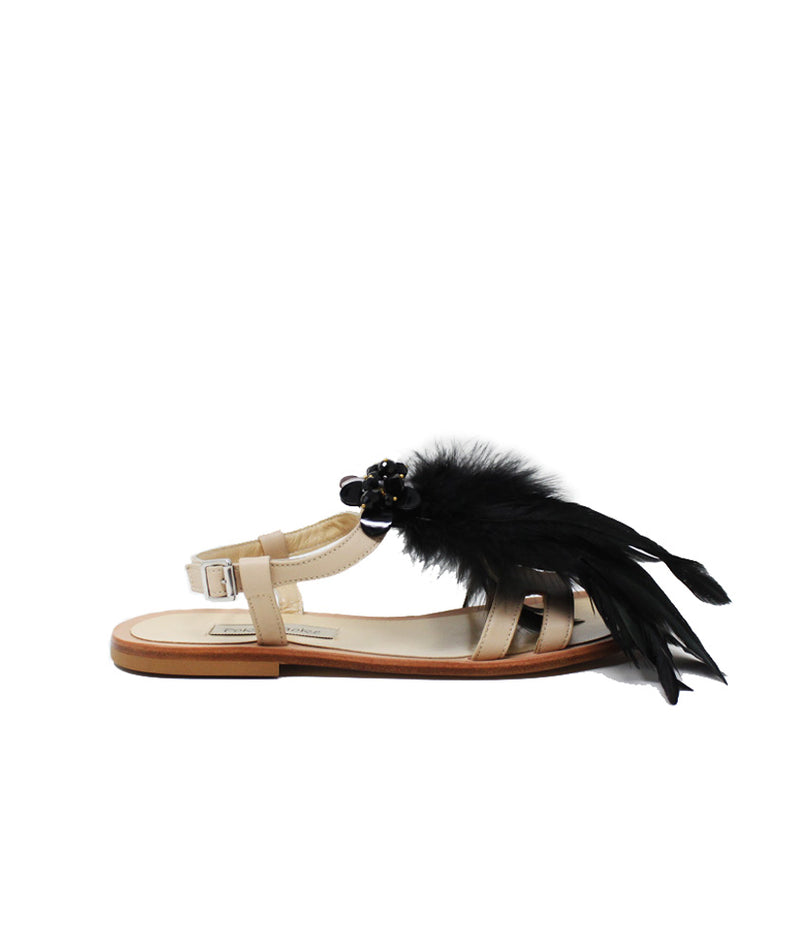 Pokemaoke Croce del Sud Promozione