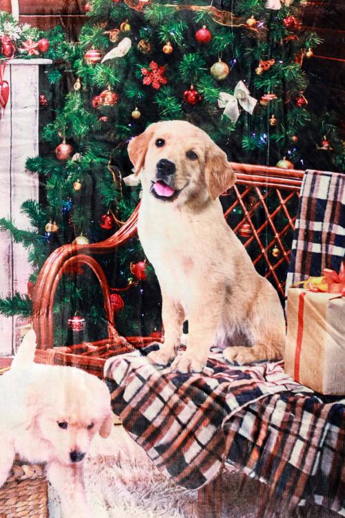 Susy Mix Plaid Stampa Cane Offerte