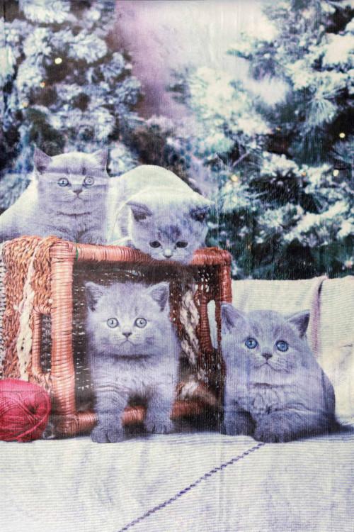 Susy Mix Plaid Stampa Gatto Hotsell